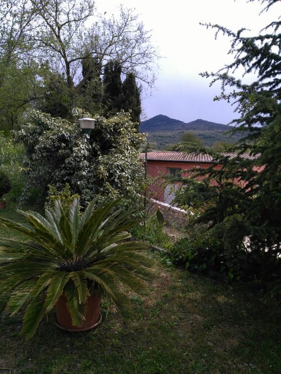 Agriturismo Usurtala Orani Bagian luar foto