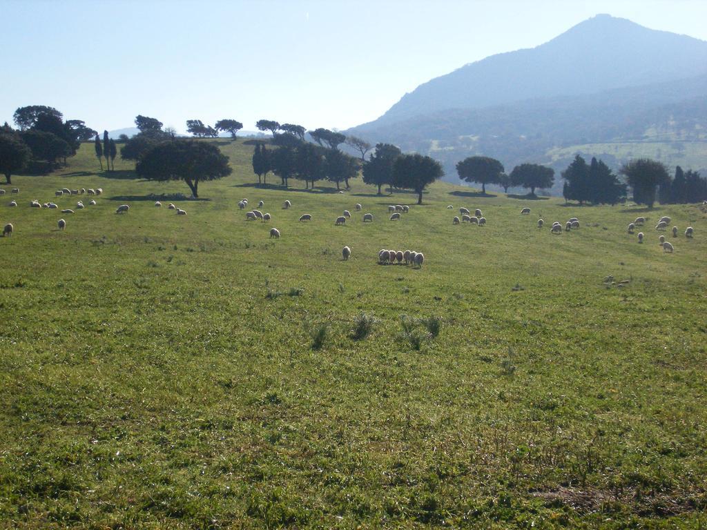 Agriturismo Usurtala Orani Bagian luar foto